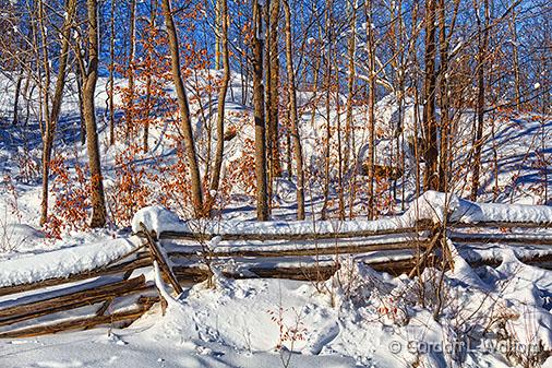 Snowy Split Rail Fence_32658.jpg - Photographed near Perth, Ontario, Canada.